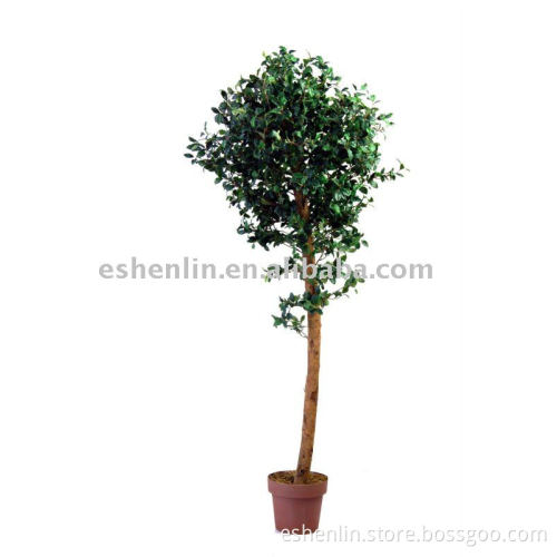 artificial ficus tree